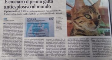 Primo gatto antiesplosivo