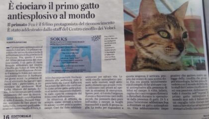 Primo gatto antiesplosivo