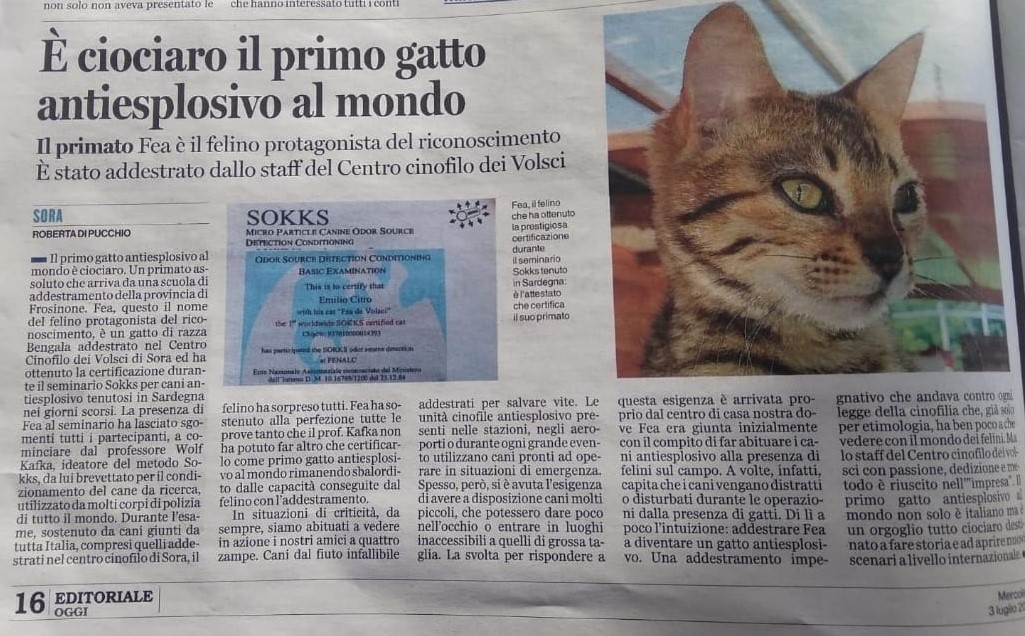 Primo gatto antiesplosivo